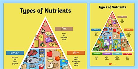 Types of Nutrients Pyramid Poster | Nutrients in Food