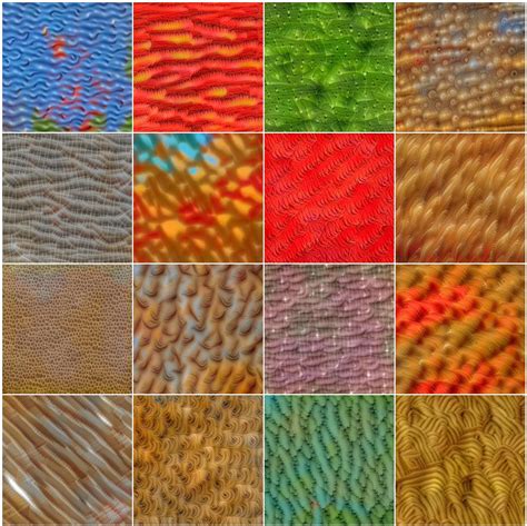 Image result for Photo Colorization