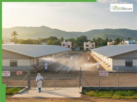 Bird Flu Outbreak In Kerala: Tamil Nadu's Namakkal Poultry Farms ...