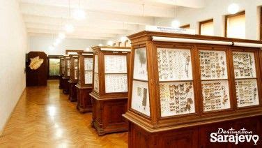 Exhibit opening: Magical World of Insects - Destination Sarajevo