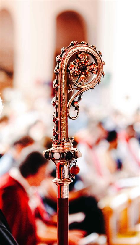 Bishop vs. Cardinal - What's the Difference? | This vs. That