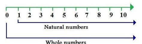 5. Respresent each whole numbers on a number line.. - Brainly.in