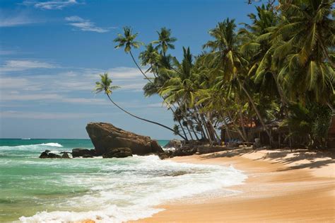 Top 15 Beaches in Baratang Island