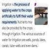 define irrigation what is the proper time of irrigation for wheat ...
