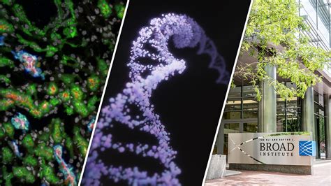 Solutions for Healthcare and Life Science Industries | NVIDIA