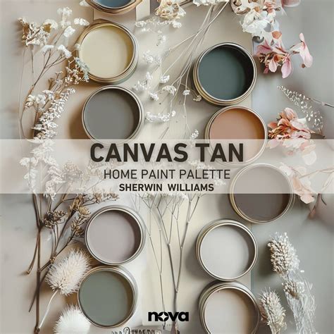 CANVAS TAN Sherwin Williams Paint Palette, Whole House Color Palette ...