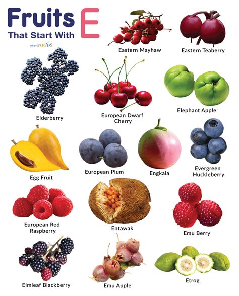 Fruits And Vegetables That Start With E at Kate Gask blog