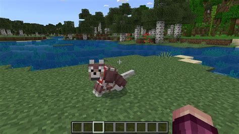 Image result for Minecraft Wolf Armor Update