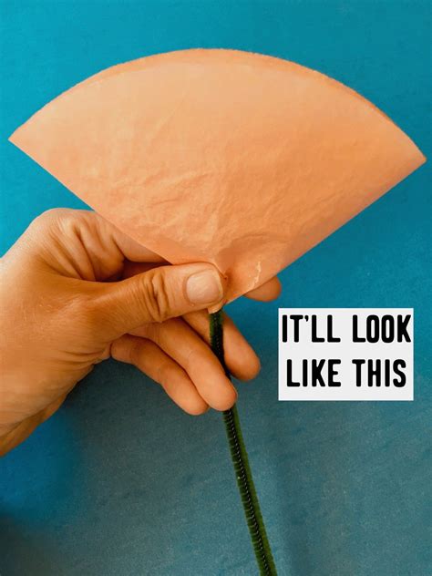 Image result for Diffusion Filter Flower Images