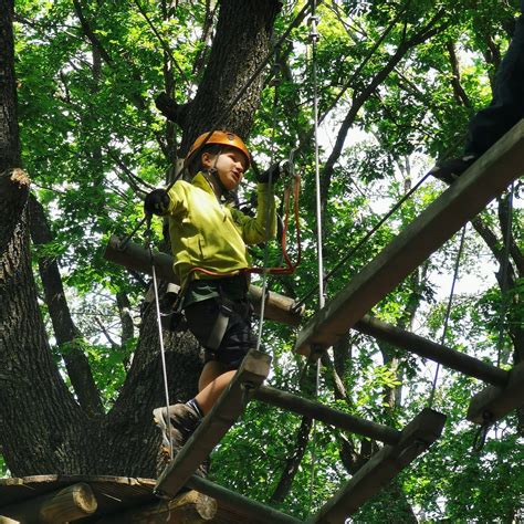 ADRENALIN PARK CLUJ (2025) All You Need to Know BEFORE You Go (with ...