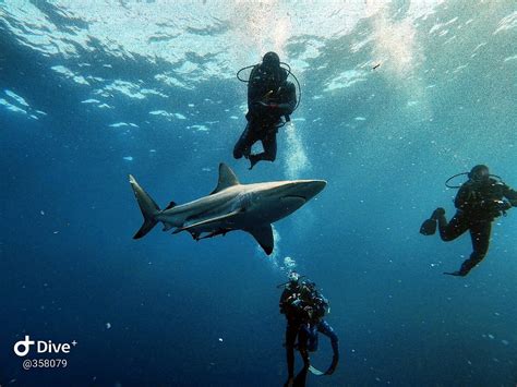 AFRICAN WATERSPORTS (2026) All You Need to Know BEFORE You Go (with ...