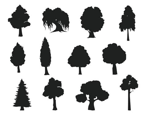Ahorn Eiche Birke Fichten Silhouetten Premium-Vektorvorlage | Premium ...