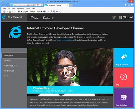 Internet Explorer Developer Tools 的图像结果