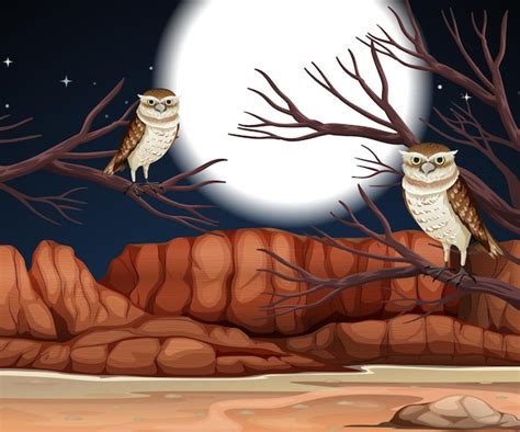 Page 3 | Forest Night Owl Images - Free Download on Freepik