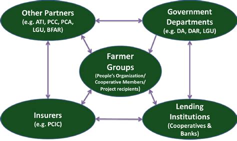 Structure of Pap Insurance 的图像结果