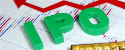 Should You Invest In IPO? Are IPOs Good For Initial Investment ...