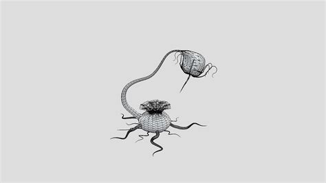 Image result for Alien Plant 3D Inseminate