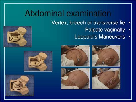 Image result for Normal Labour Duration