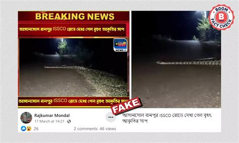 Python Crossing Road Video From Karnataka Falsely Shared As Asansol ...