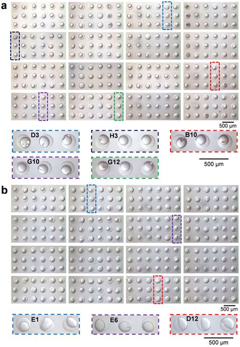 Image result for Protein Crystallization Screening