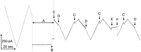 Triplin: Mechanistic Basis for Voltage Gating