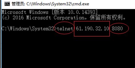 linux ping 端口_(建议收藏)IPv6地址使用ping、telnet命令汇总-CSDN博客