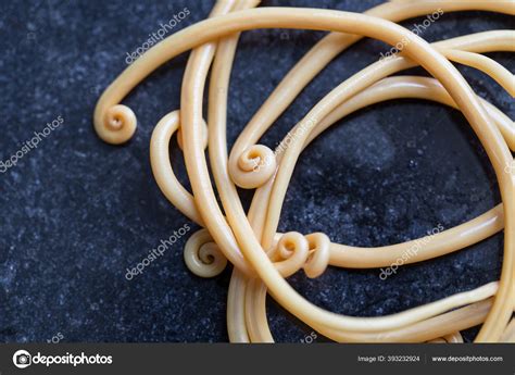 Fotos De Ascaris Lumbricoides Egg