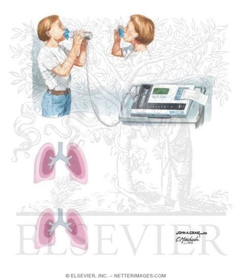 Image result for Pulmonary Function Testing