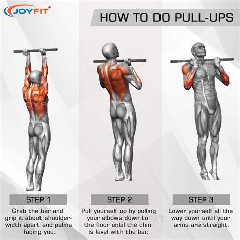 In door Pull up Bar with Lock System | Joyfit
