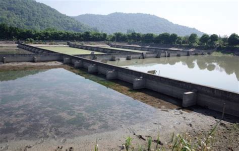 金华这9个水库被评为省级优秀水源地|金华|金华市|浙江省_新浪新闻