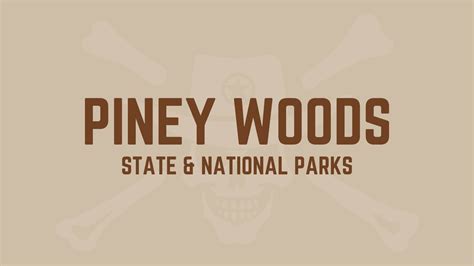 Piney Woods Parks: Forest Trails and Serene Lakes