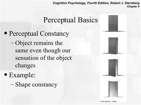 Perception Tutorial 的图像结果