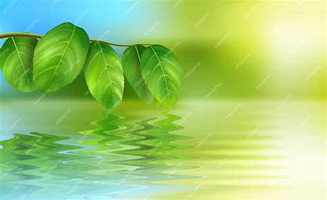 Premium Vector | Ecology reflection of leaves on the water abstract vector illustration