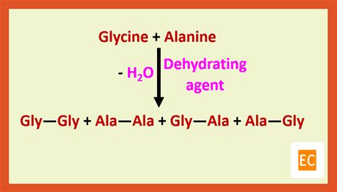 ELEMENTAL CHEMISTRY: Peptide Synthesis