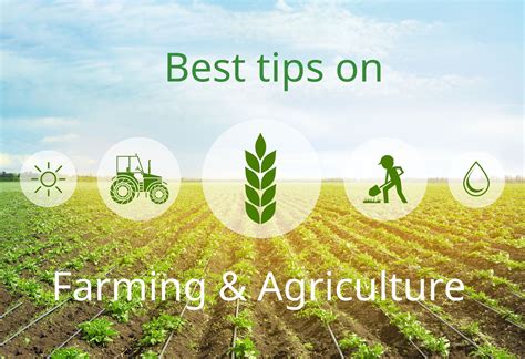 How To Start Agriculture Business: Best Tips To Start Farming