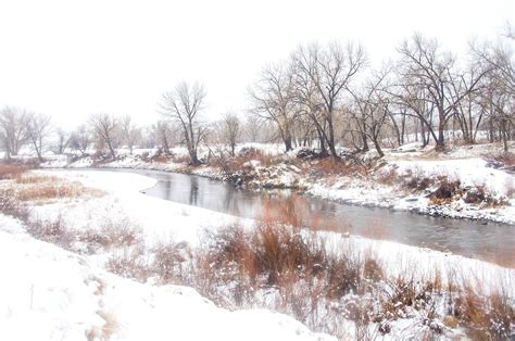 South Platte Park and Carson Nature Center - Littleton, CO - Uncover ...