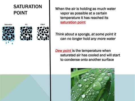 Image result for Humidity Example