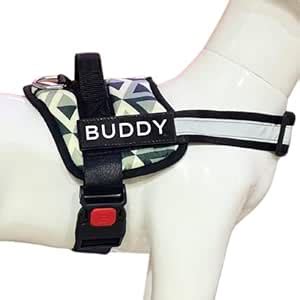 Payton Perry Dog Vest Harness, Choke-Free Double Padded Vest ...