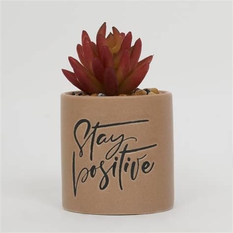 Buy Garnet Garden Artificial Succulent in Ceramic Planter from Home ...