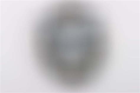 ratisbon's | Air Gunner & Flight Engineer Badge without Lightning Bolts ...