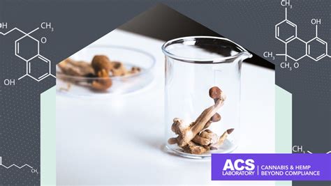 Psychedelic Science 的图像结果