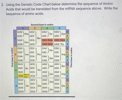 Image result for How to Find Genetic Code