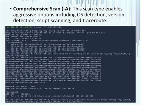 Nmap Port Scanning 的图像结果