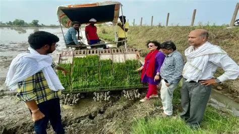 किसान पैडी ट्रांसप्लांटर से करें धान की रोपाई, पैसे और समय की होगी बचत