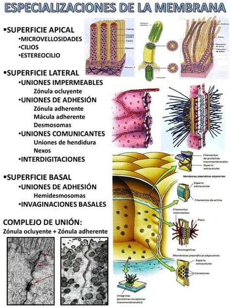 Image result for Informational Data Example