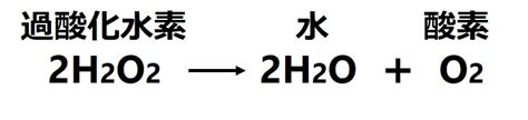 Image result for Study Guide 12 Evolution