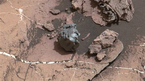 Image result for Alien Skull On Mars