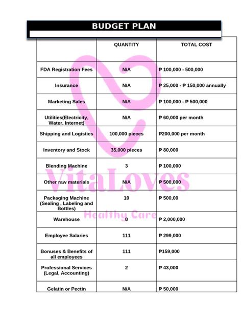 Image result for Budget Plan Example