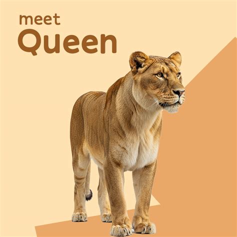 Home [patnazoo.bihar.gov.in]