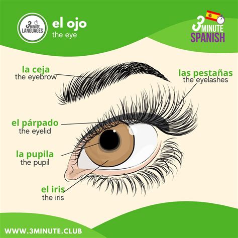 Kieran Ball on LinkedIn: Here are five words for talking about ...